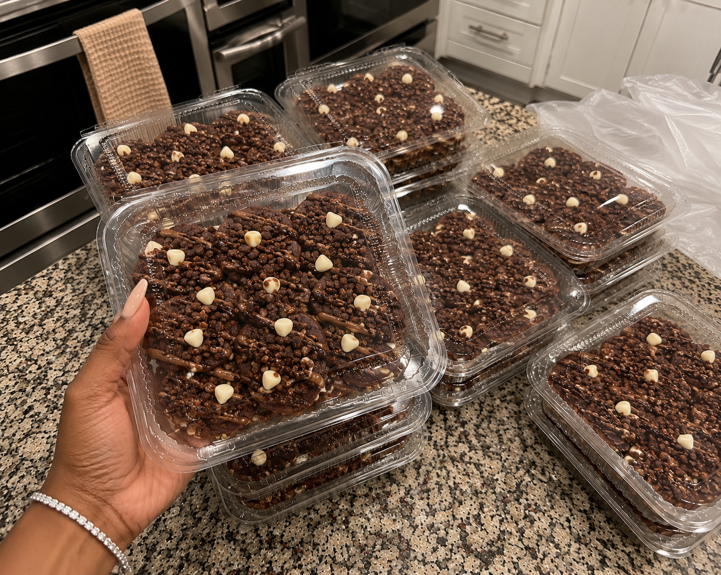 Chocolate City - (Triple Fudge Chocolate Chip)